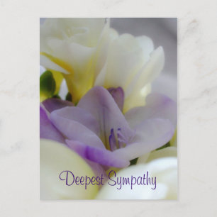 Deepest Sympathy Postcard