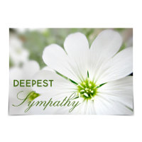 "Deepest Sympathy" Snow-in-Summer Floral