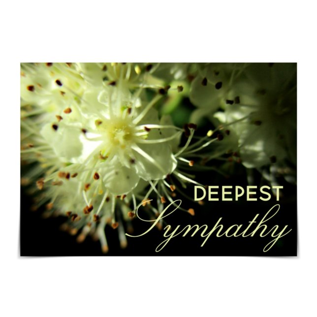"Deepest Sympathy" White Floral card (Creator Uploaded)