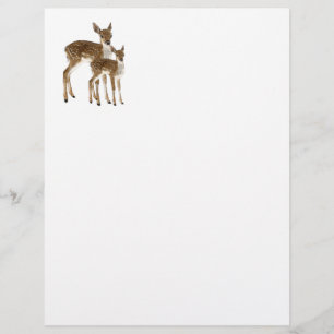 Deer