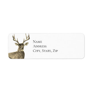 Deer