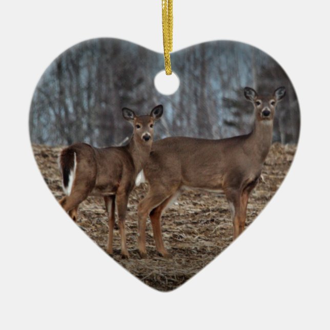 Deer_0337v Ceramic Tree Decoration (Front)