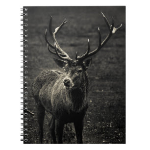 DEER 12 POINT BUCK NOTEBOOK
