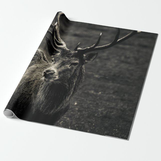 DEER 12 POINT BUCK WRAPPING PAPER (Unrolled)