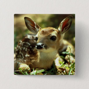 Deer 15 Cm Square Badge