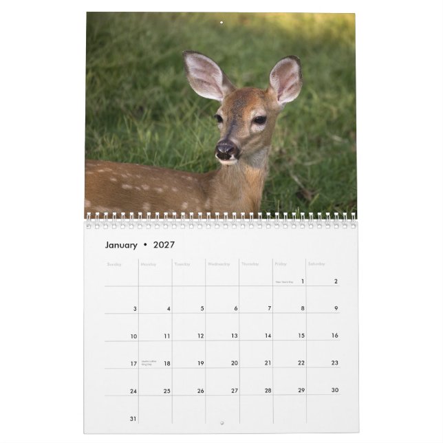 DEER 2010 CALENDAR (Jan 2027)