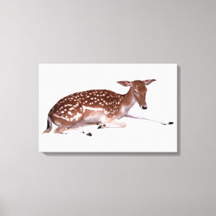 deer 2 canvas print