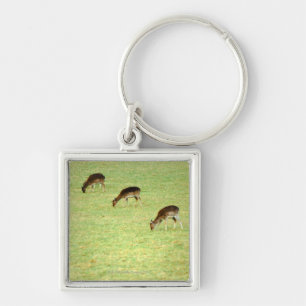 deer 2 key ring
