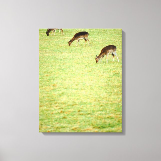 deer 3 canvas print (Front)