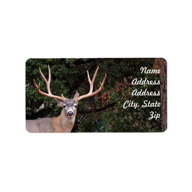 Deer Address Sticker (Front)