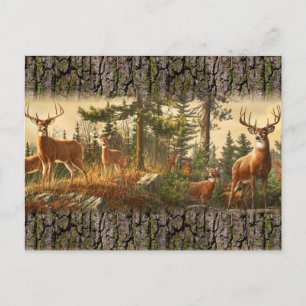 Deer Alert Pattern Postcard
