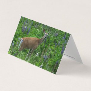 Deer Among the Lupines