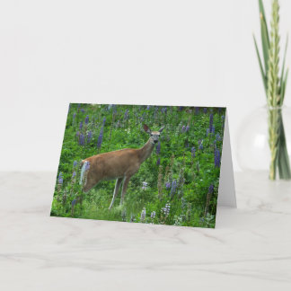 Deer Among the Lupines Card