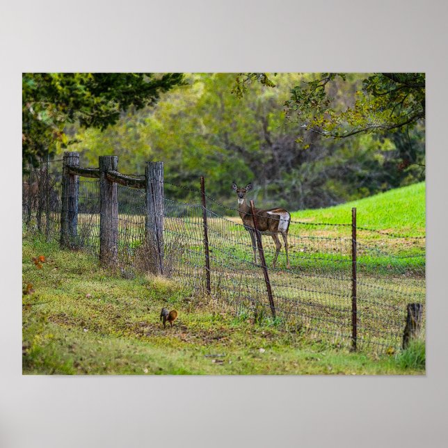 Deer And A Squirrel Painterly Poster (Front)