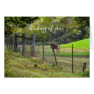 Deer And A Squirrel Painterly Thinking Of You Card