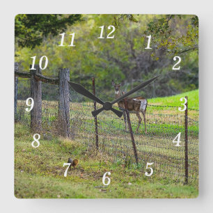 Deer And A Squirrel Painterly Wall Clock