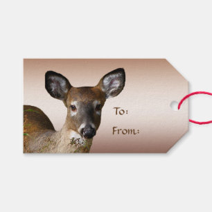 Deer and Frosty Hills Pack of Gift Tags