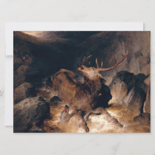 Deer and Hound Dogs in a Mountain Torrent Card