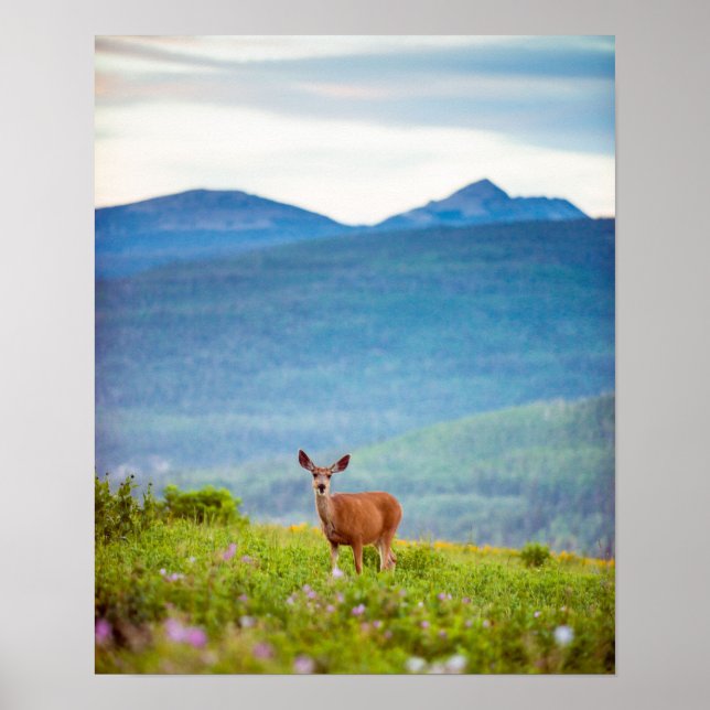 Deer and Mountains Landscape Poster (Front)