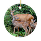 Deer and Twin Fawns Animal Family