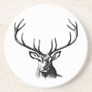 Deer Animal Antlers Nature Wildlife Horns Head Pos Coaster