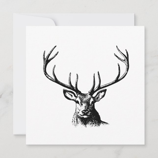 Deer Animal Antlers Nature Wildlife Horns Head Pos Invitation (Front)