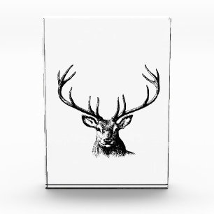 Deer Animal Antlers Nature Wildlife Horns Head Pos Photo Block