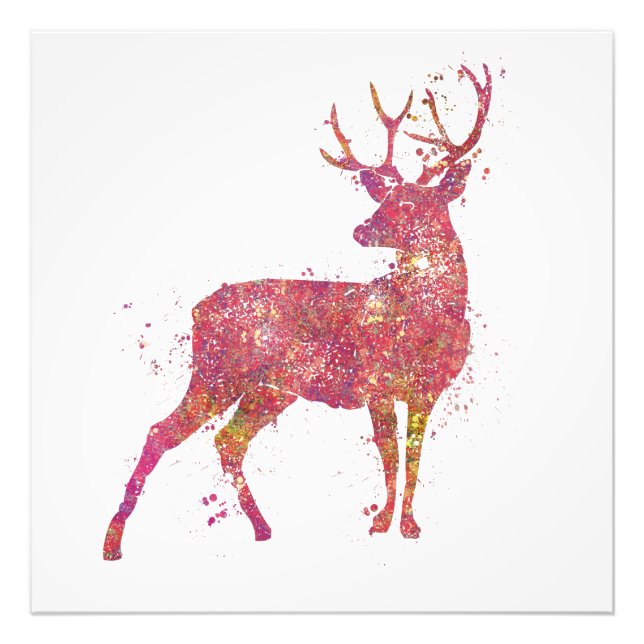 Deer Animal Forest Wild Wildlife Nature World Eart Photo Print (Front)