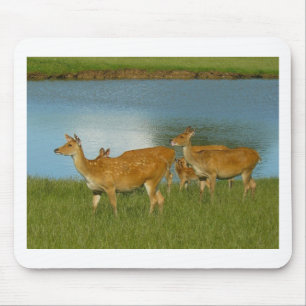 Deer Animal Nature Peace Love Destiny Fun Art Mouse Pad