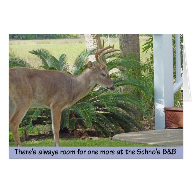 Deer approaching stairs (Front Horizontal)