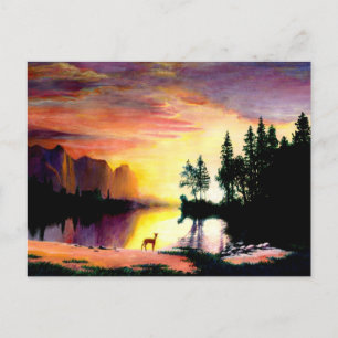 Deer at Dawn Photo Print Postcard