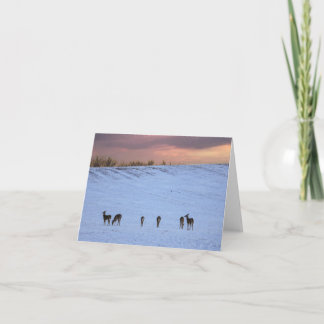 Deer at sunset note card