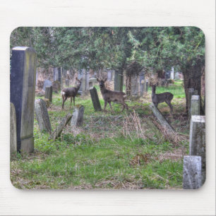 Deer At Zentralfriedhof Mouse Pad