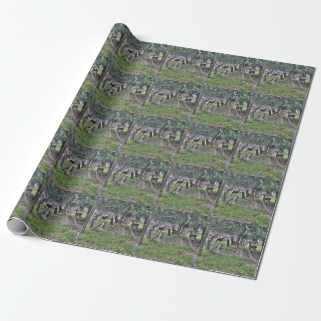 Deer At Zentralfriedhof Wrapping Paper (Unrolled)