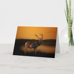 Deer Blank Card