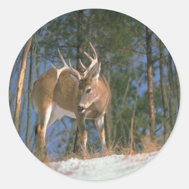 Deer Buck Classic Round Sticker (Front)