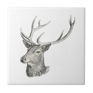 Deer Buck Head with Antlers Black and White Art Tile