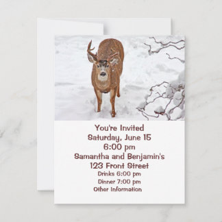 Deer Buck in Winter Snow Invitation