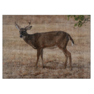 Deer Buck Wild Art Glass Cutting Board