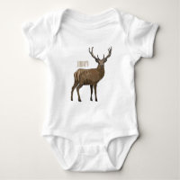 Deer cartoon illustration