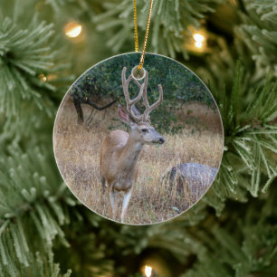 Deer Christmas Ornament