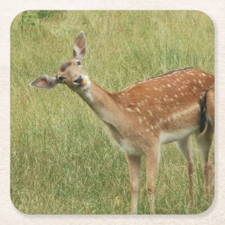 Deer Coaster