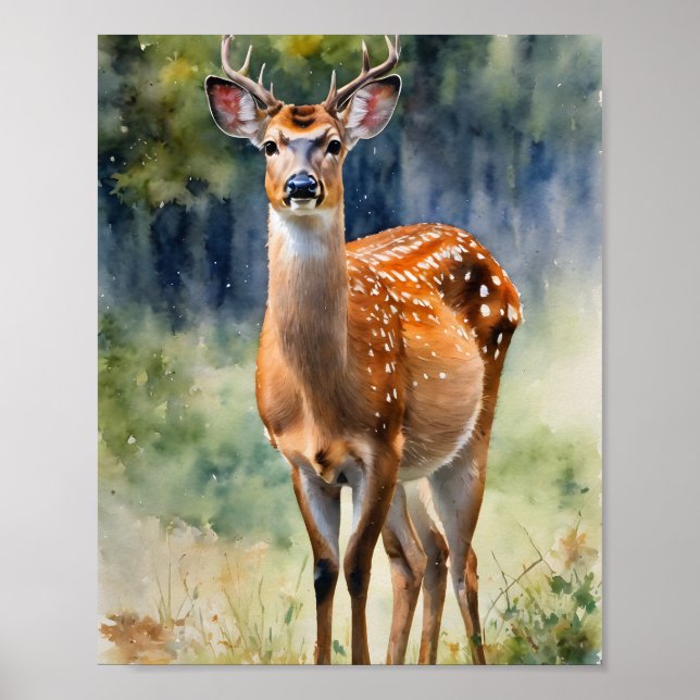 Deer Collection: Japanese Sika Deer  Poster (Front)