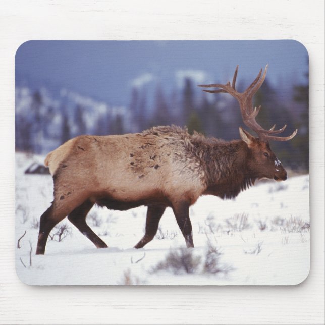 Deer Country Mouse Pad (Front)