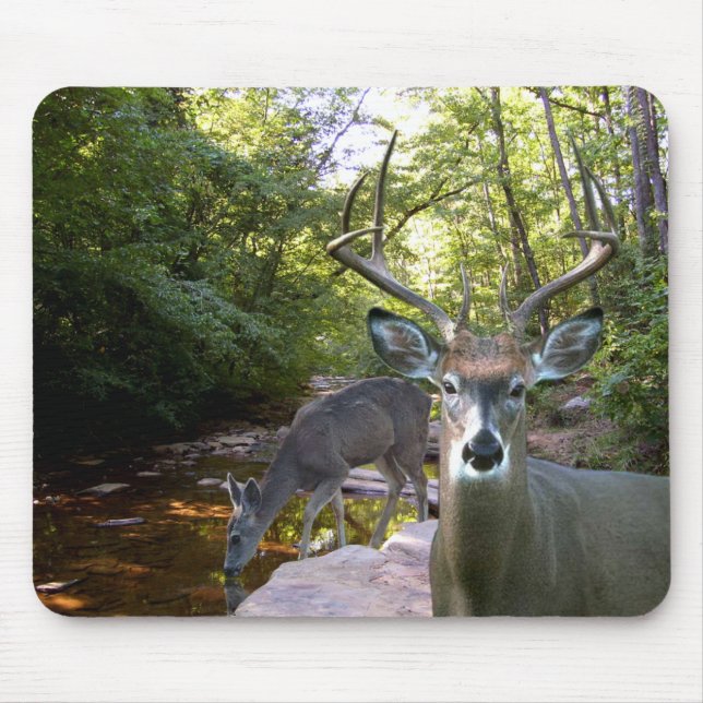 Deer Creek Mousepad 01 (Front)