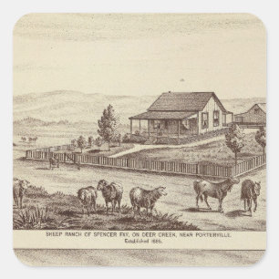 Deer Creek sheep ranches Square Sticker