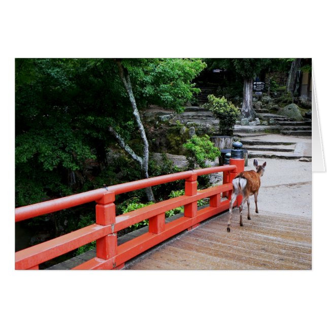 Deer crossing a red Japanese bridge (Front Horizontal)