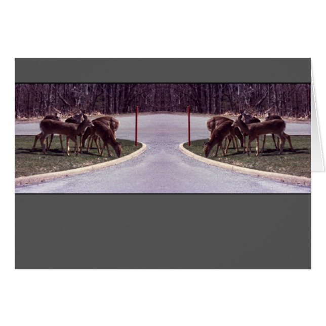 Deer crossing - Card (Front Horizontal)