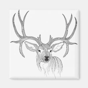 deer,deer hunting,mule deer,baby deer,white tail magnet