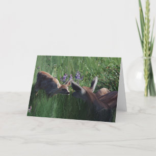 Deer Doe and Fawn stationery cards blank inside.